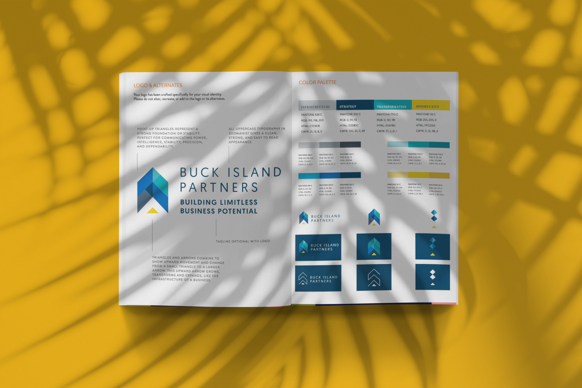 Buck-Island-Partners-Brand-Guide